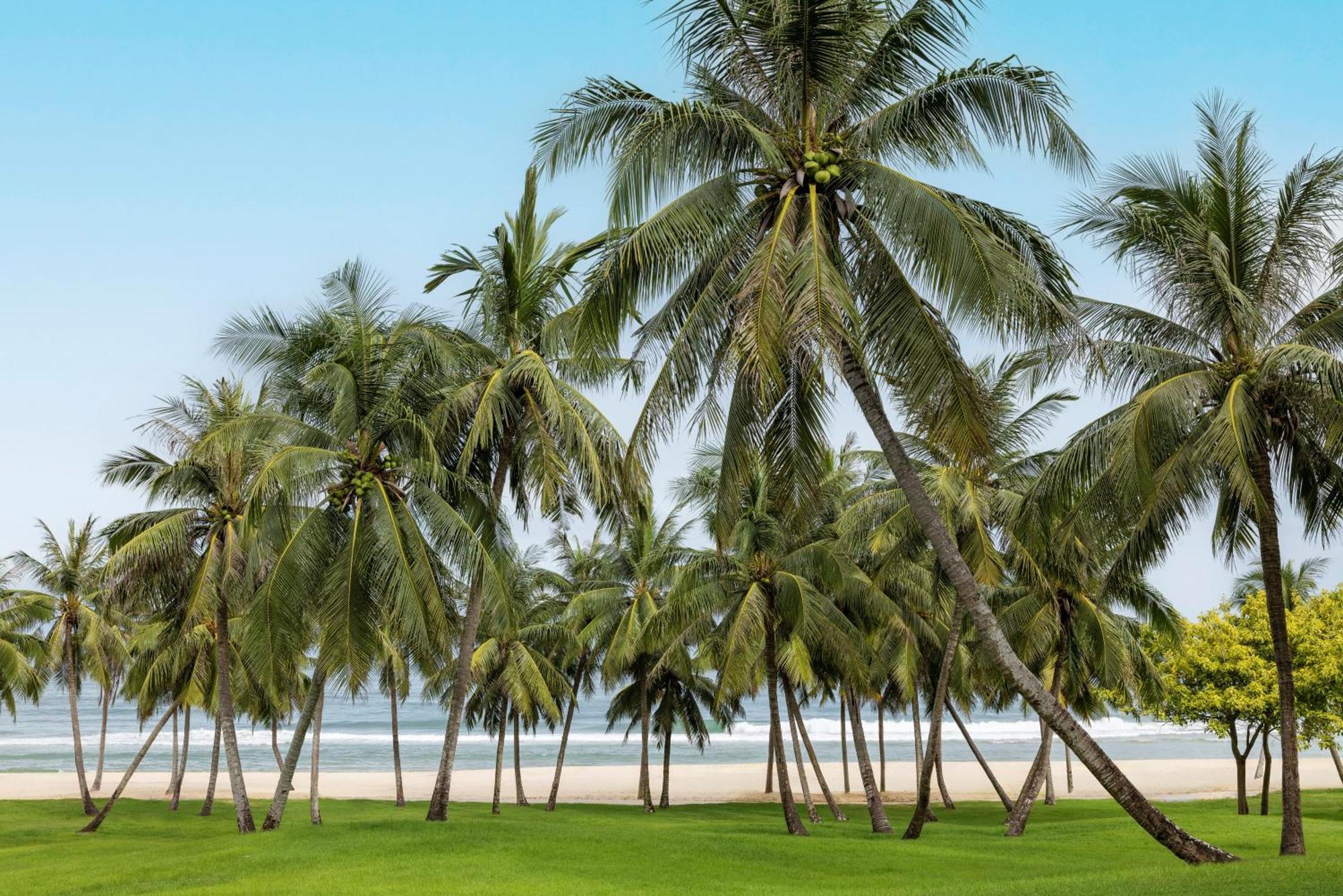 Raffles Hainan Clear Water Bay Lingshui  Bagian luar foto