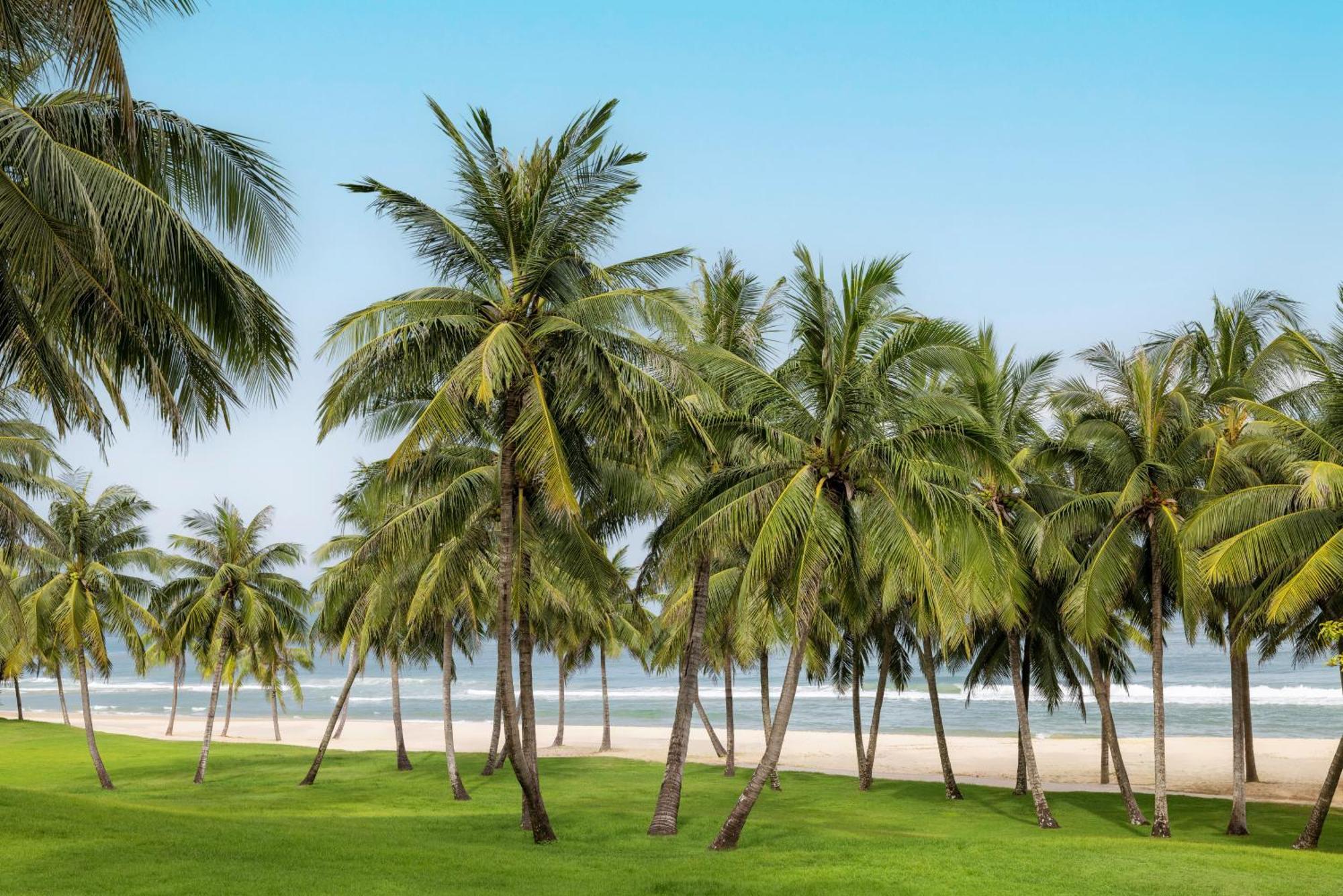 Raffles Hainan Clear Water Bay Lingshui  Bagian luar foto